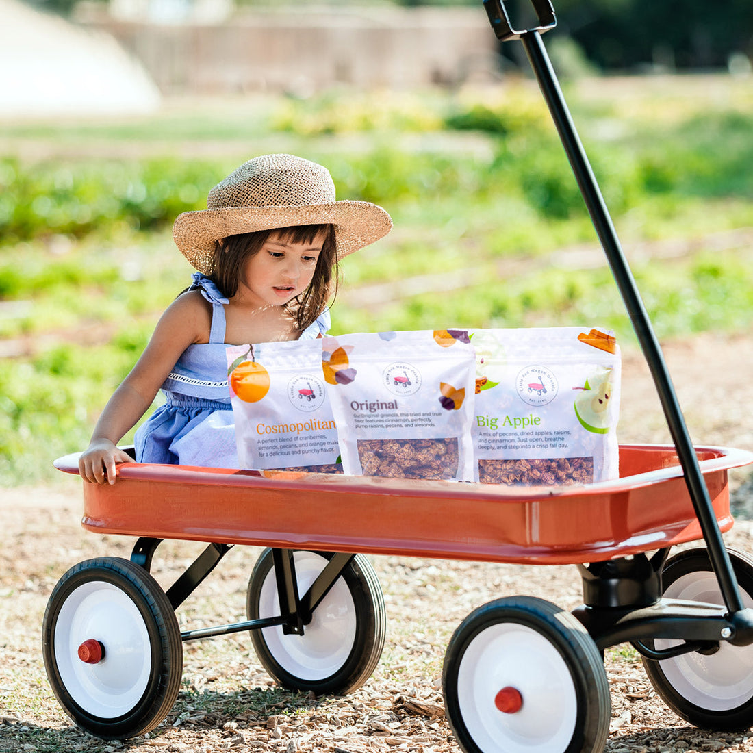 handmade granola flavors in wagon with little girl